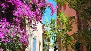 Propriété - 750 m² - 16 pièces