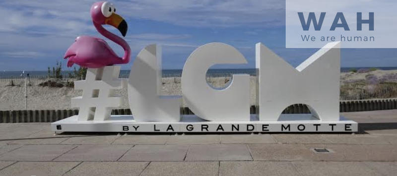 Appartement - 25 m² - 2 pièces