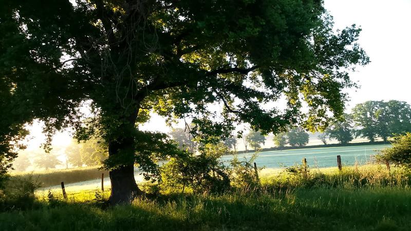 Maison - 290 m² - 7 pièces