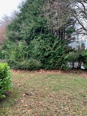 Terrain constructible - 605 m²