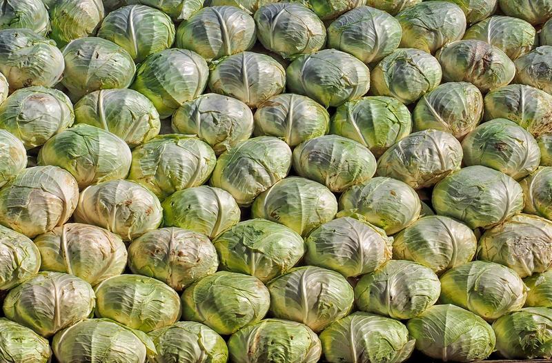 51e Fête de la choucroute-Sürkrütfecht