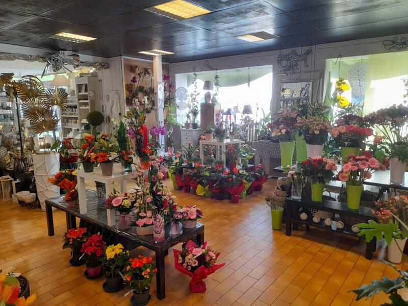 Fonds de commerce - Magasins - 280 m²