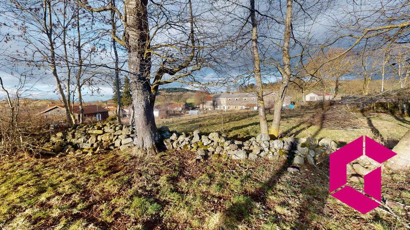 Ferme - 42 m² - 3 pièces