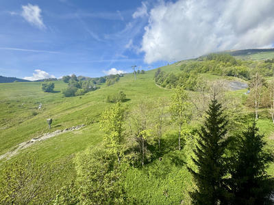 Appartement - 36 m² - 2 pièces