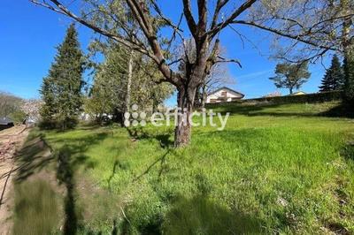 Terrain - 979 m²