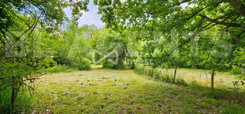 Maison - 220 m² - 11 pièces