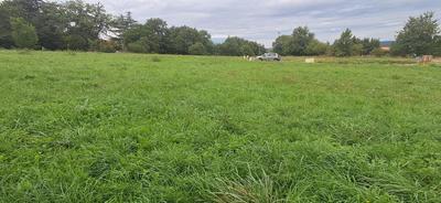 Terrain - 800 m²