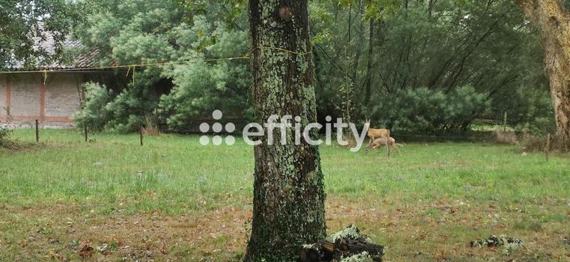Maison d'architecte - 159 m² - 7 pièces