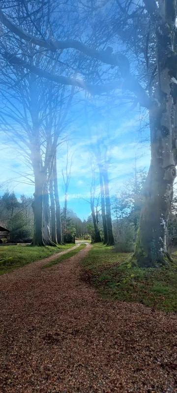 Maison - 479 m² - 19 pièces