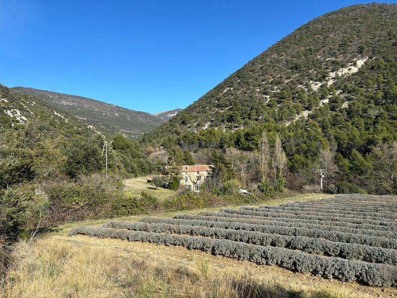 Mas - 218 m² - 7 pièces