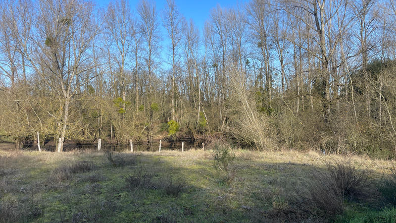 Terrain - 11 581 m²