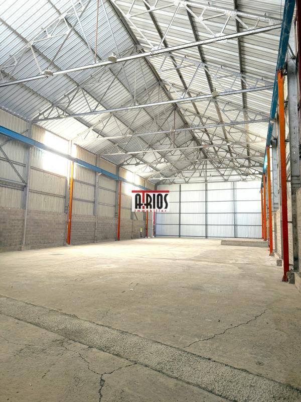 Entrepôt - 336 m² - 1 pièce