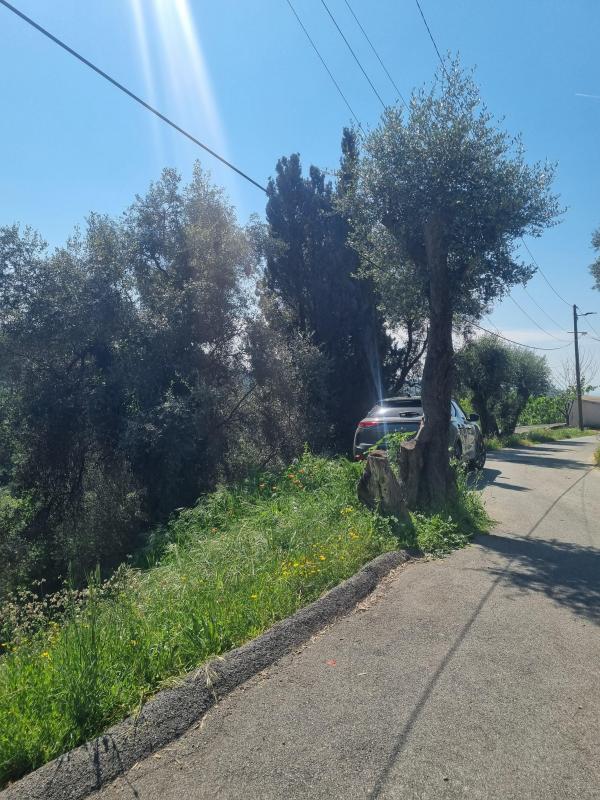 Terrain constructible - 1 161 m²