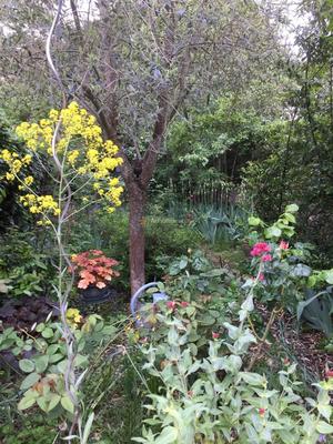 Maison - 117 m² - 6 pièces