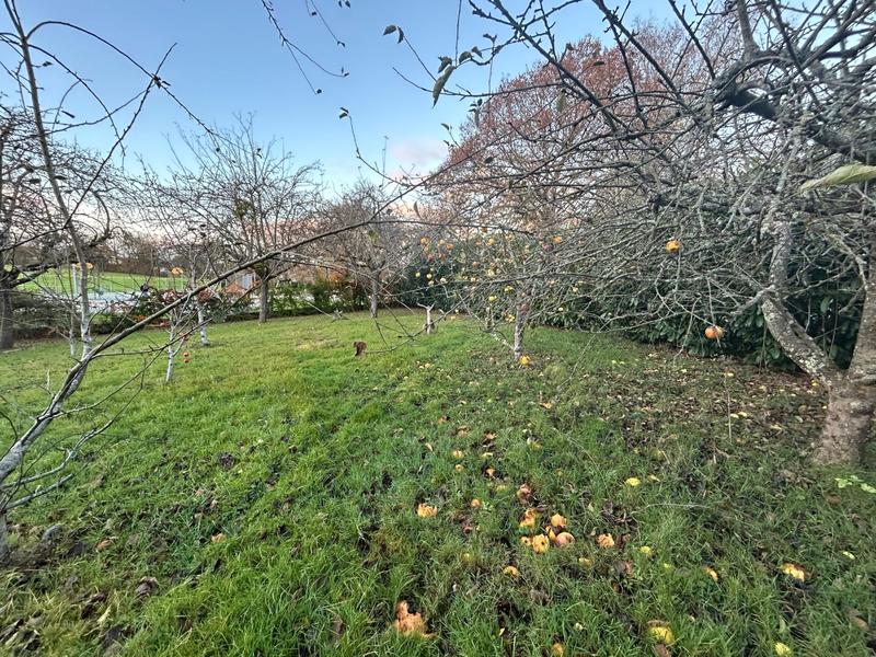 Maison de maîtres - 192 m² - 7 pièces