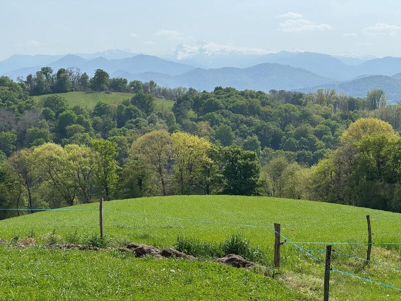 Maison - 170 m² - 5 pièces