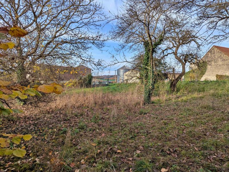 Maison ancienne - 100 m² - 3 pièces