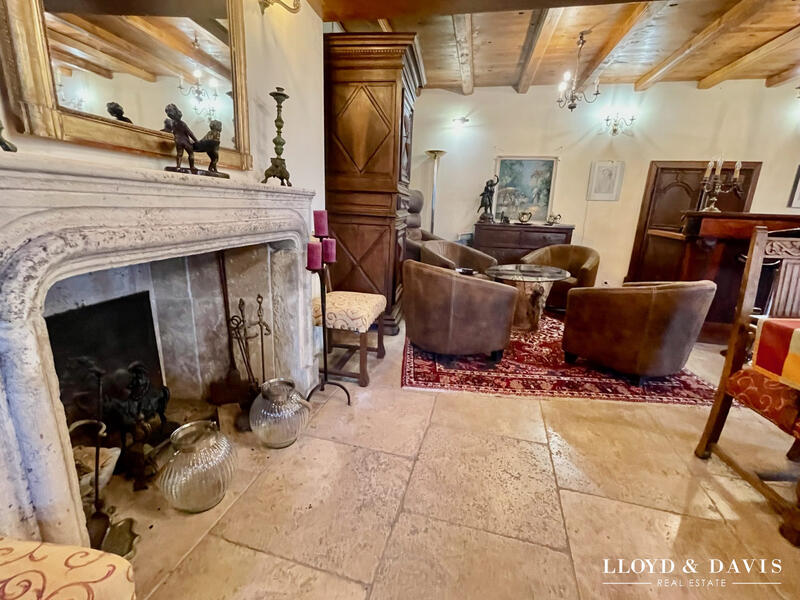 Château - 1 560 m² - 20 pièces