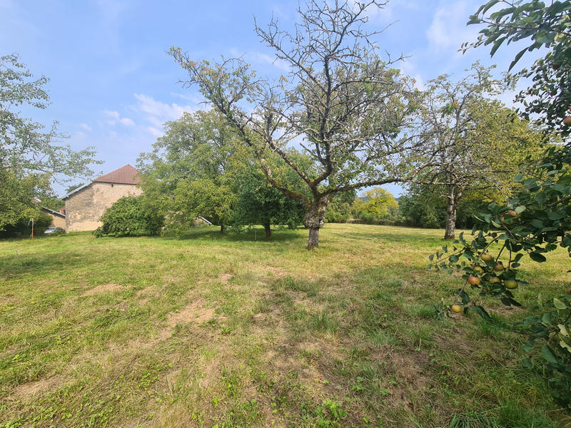 Maison - 110 m² - 3 pièces