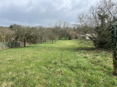 Terrain - 2 696 m²