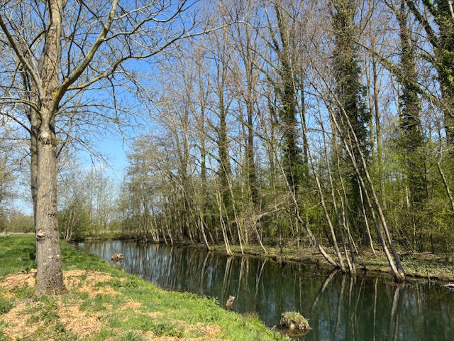 Maison - 173 m² - 7 pièces