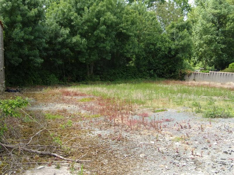 Maison - 140 m² - 3 pièces