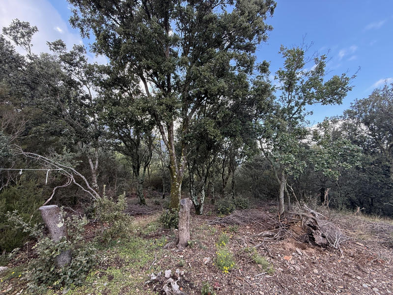 Terrain - 76 380 m²