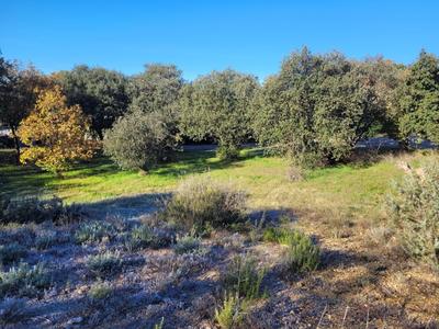 Terrain constructible - 1 000 m²