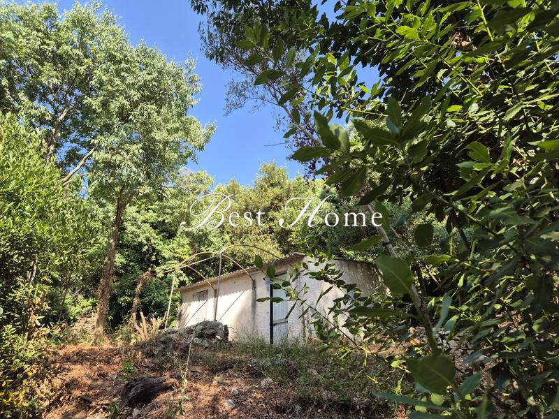 Maison - 25 m² - 2 pièces