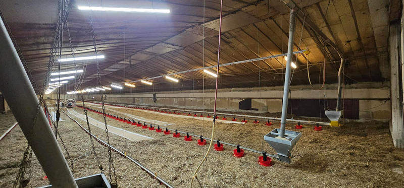 Local d'activité / Entrepôt - 2 400 m² - 2 pièces