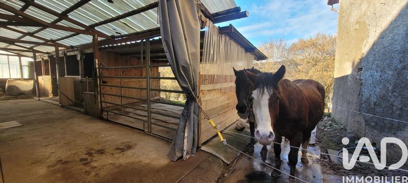 Ferme - 105 m² - 4 pièces