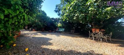 Viager - Maison - 300 m² - 8 pièces