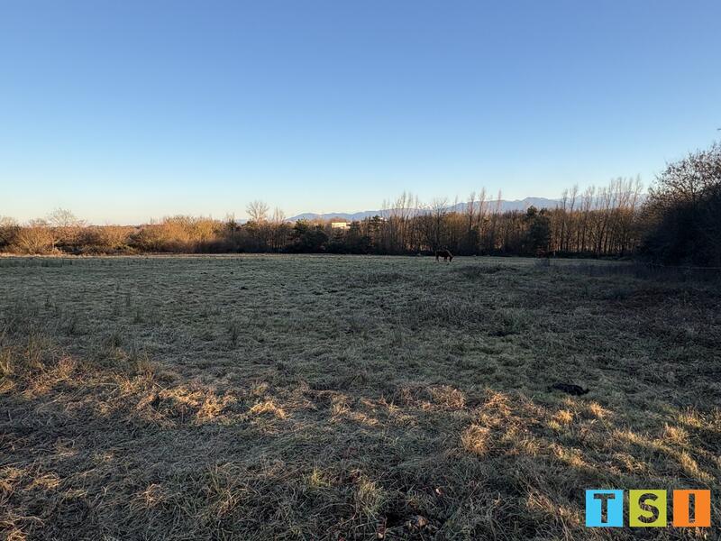 Terrain constructible - 2 501 m²