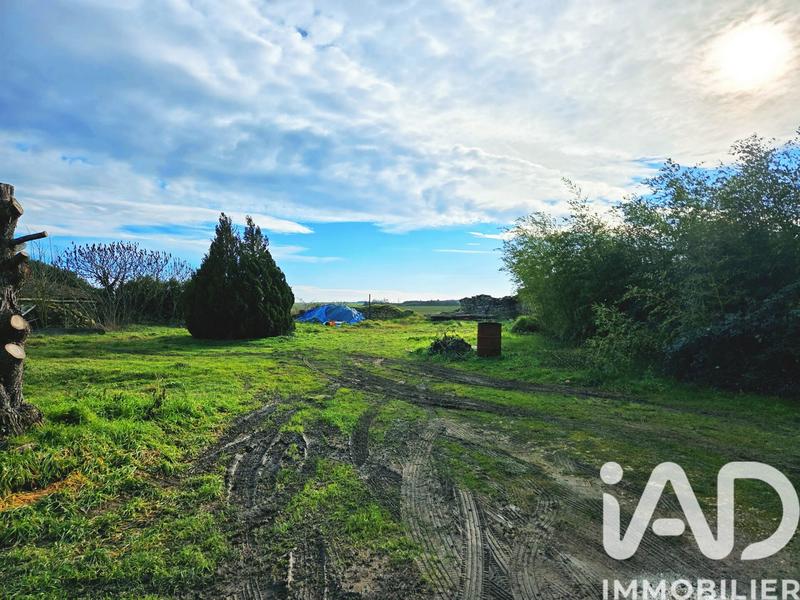 Maison - 163 m² - 5 pièces