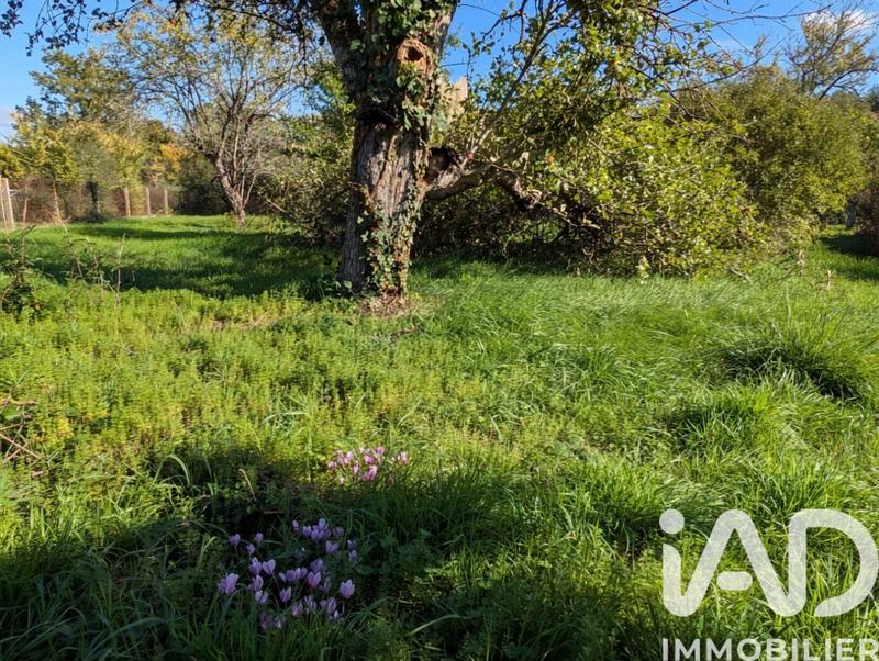 Maison de campagne - 99 m² - 4 pièces