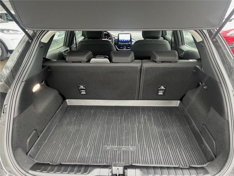 Ford Puma II 1.0 Flexifuel 125 Ch Mhev s&amp;S Bvm6 Titanium