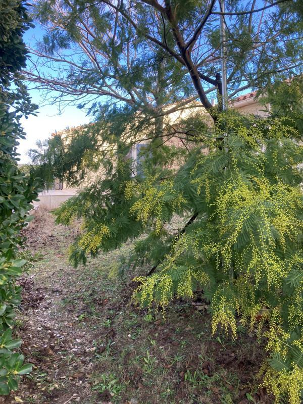 Maison - 100 m² - 3 pièces