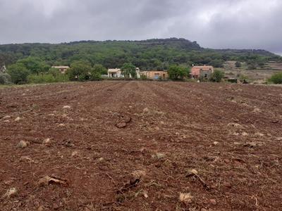 Terrain constructible - 1 959 m²