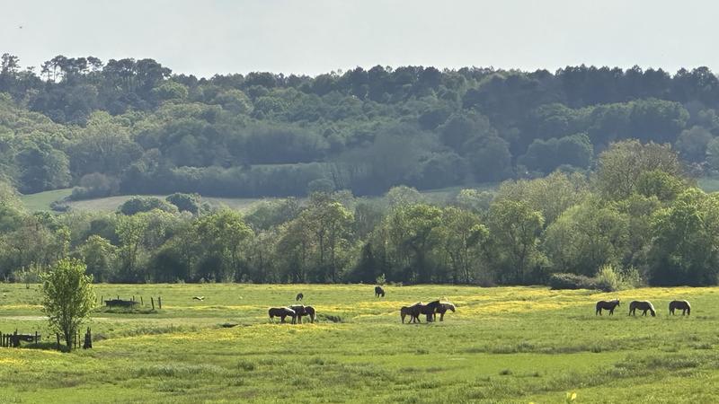 Maison d'architecte - 266 m² - 7 pièces