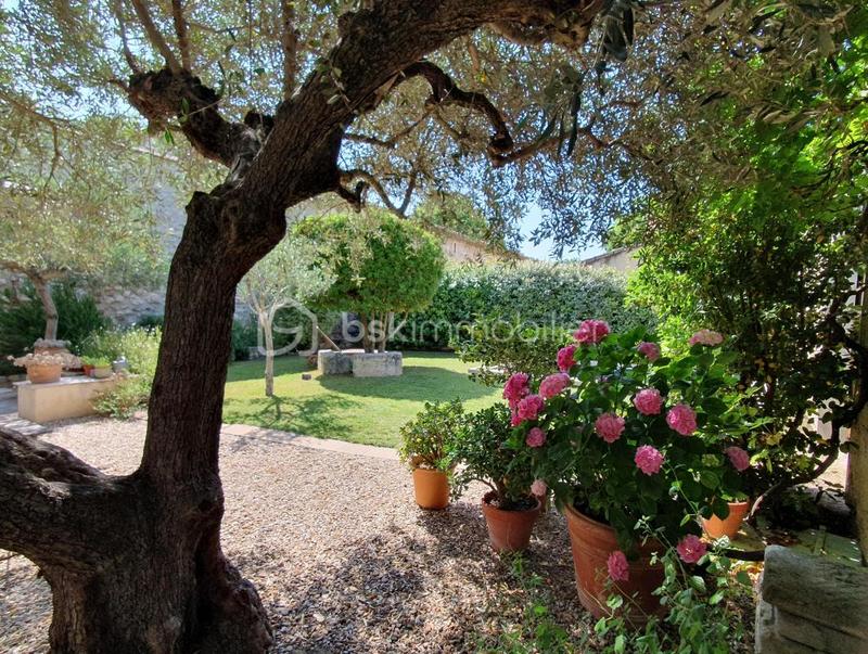 Mas - 260 m² - 10 pièces