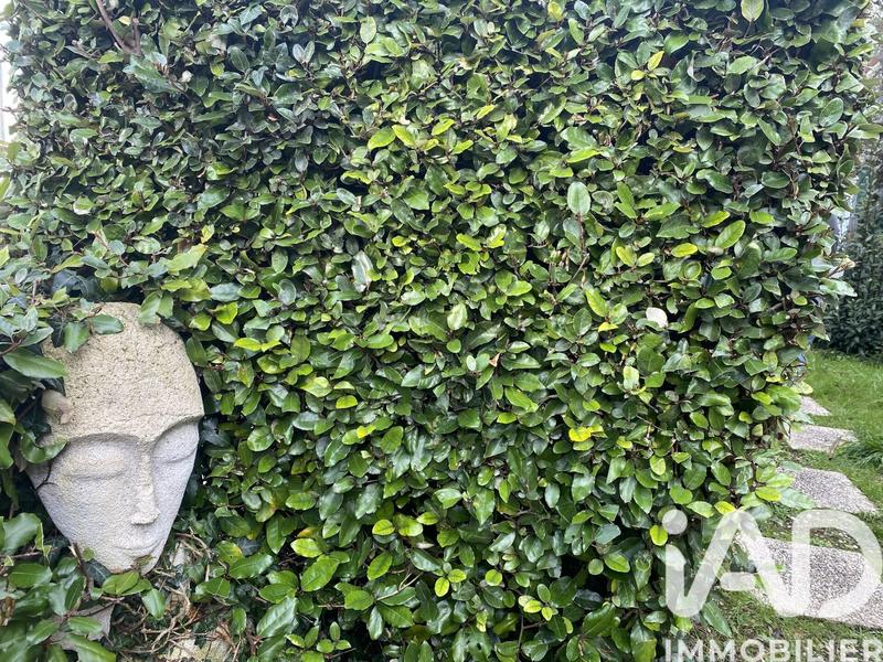 Maison - 245 m² - 10 pièces