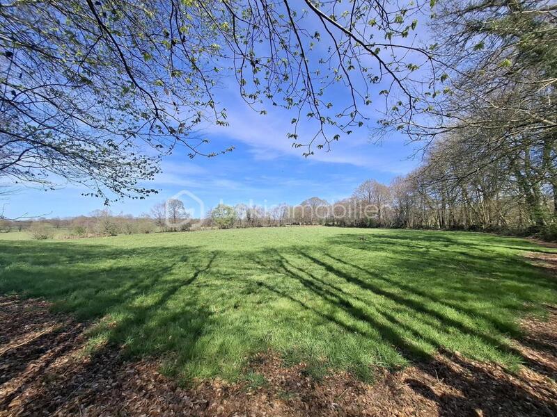 Terrain agricole - 11 860 m²