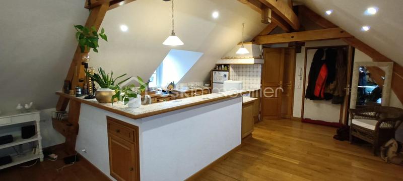 Loft - 52 m² - 3 pièces