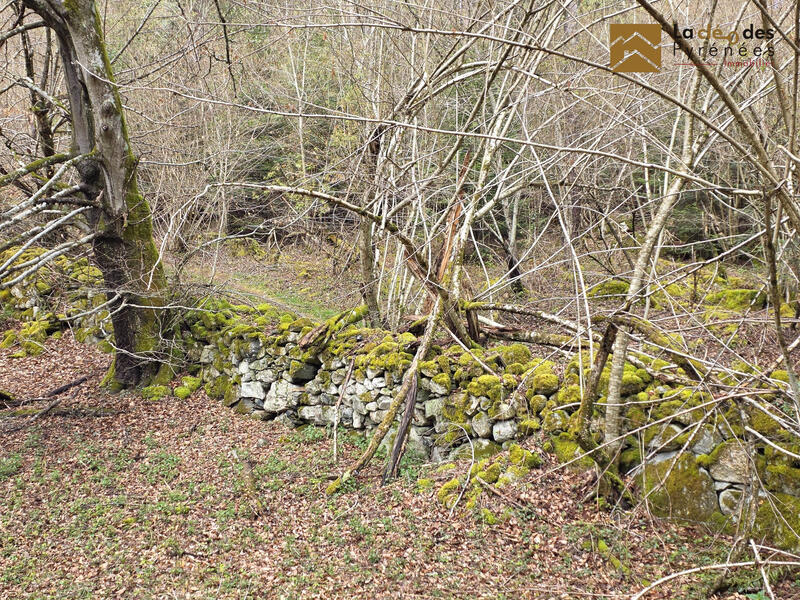 Terrain de loisirs - 23 704 m²