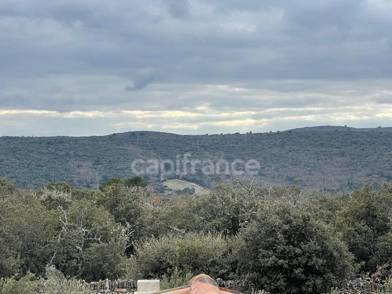 Maison en pierre - 220 m² - 7 pièces