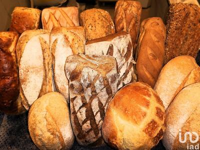 Local commercial - 178 m²