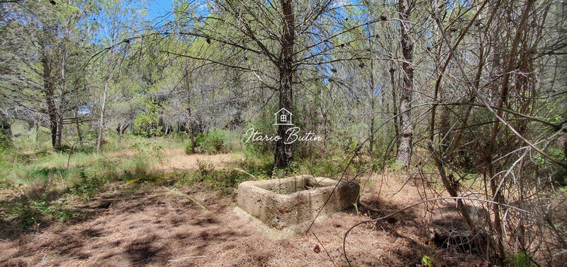 Terrain agricole - 7 875 m²