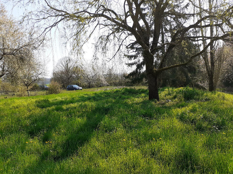 Maison - 60 m² - 2 pièces