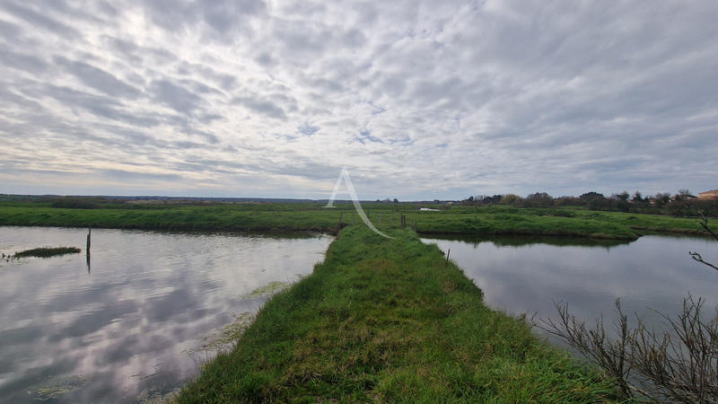 Terrain - 27 235 m²