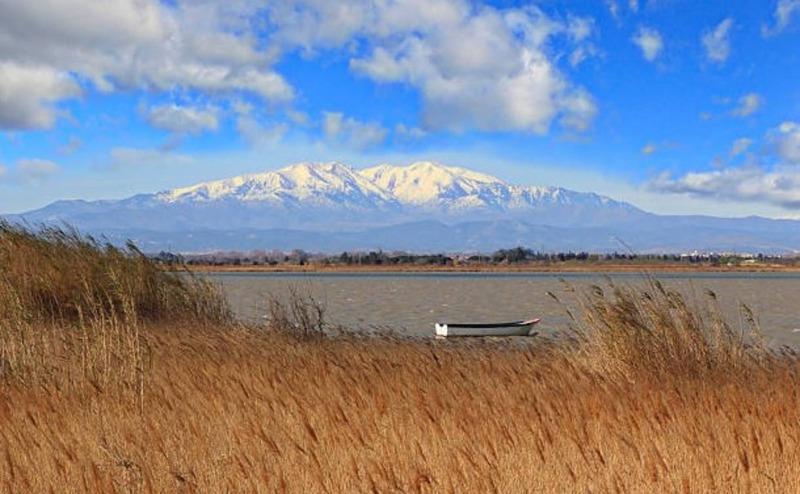 Immeuble - 329 m² - 17 pièces